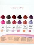 Alter Ego Passion Color Mask- Maska koloryzująca 250ml - 4