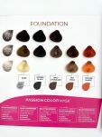 Alter Ego Passion Color Mask- Maska koloryzująca 250ml - 5