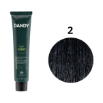 DANDY Farba koloryzująca odsiwiacz dla mężczyzn - 4