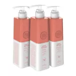 NISH LADY PROFESJONALNY ZESTAW DO ZABIEGU PROSTOWANIA WŁOSÓW BOTOX THERAPY 3X 503 ML - 2